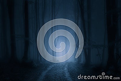 Path in dark forest Stock Photo