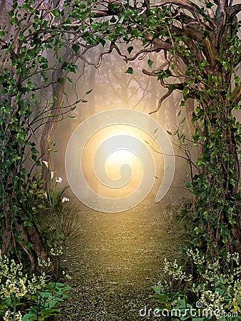 Path through enchanting fairytale deep forest view with beautiful heavenly sunset Stock Photo