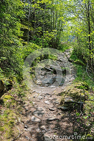 Path on the famous hiking trail Eifelsteig Stock Photo