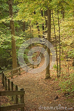 Path with Fence Stock Photo