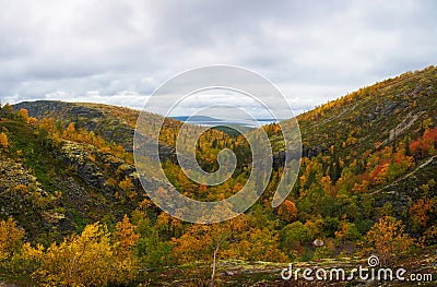 Path on the forest slope of the mountain in autumn in Khibiny, Kola Peninsula, Russia Stock Photo