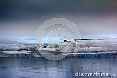 Islands Jackson, Payer Ziegler. Glaciers and snowfields Stock Photo