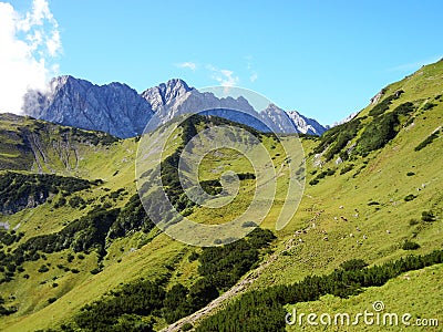 Path in grass mountains, cows and pointy rocks Stock Photo