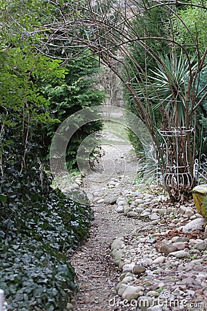 Path through the green garden. Pathway through green forest. Natural green frame with copy space. Stones pathway in garden. Stock Photo