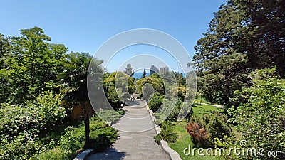 Path in a green park and trees arond Stock Photo