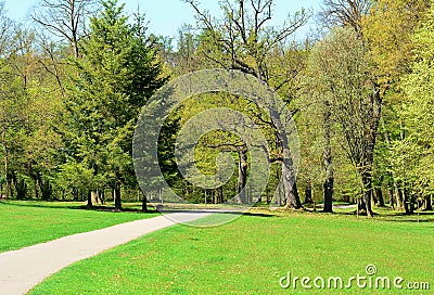 Path in a green park Stock Photo