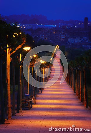Path illuminated with lampposts at night Stock Photo
