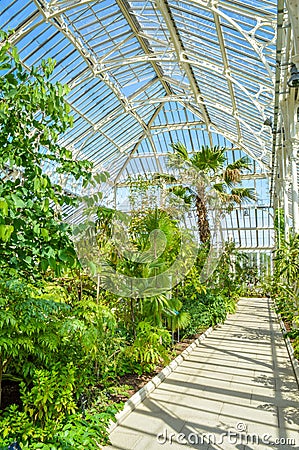 Temperate House, Kew Royal Botanical Gardens, London, UK Editorial Stock Photo
