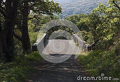 Asphalt bridge between trees in the park Stock Photo