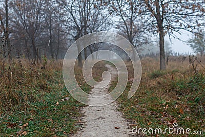 Path leading into thick fog. Autumn mood Stock Photo