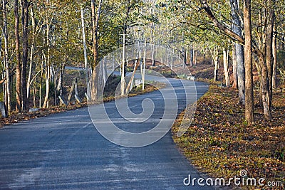 A path leading to the unknown - Nagarhole Stock Photo