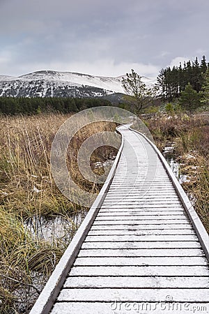 Path through Marsh at Uath Lochans in Scotland. Stock Photo