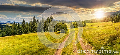 Path through meadow to forest in mountain at sunset Stock Photo