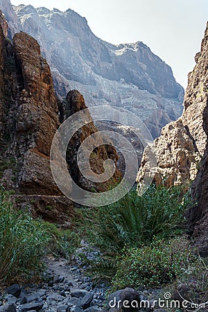 The path in the mountain gorge Stock Photo