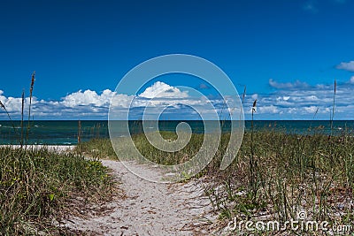 Path through natural beach grasses to the ocean Stock Photo