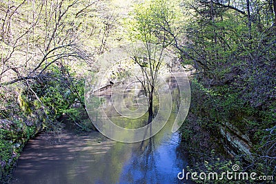 A path in nature. Stock Photo