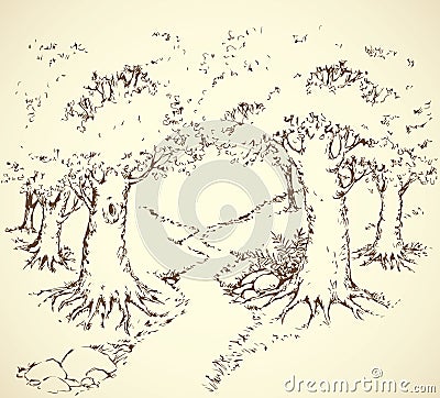 Path among oak groves. Vector drawing Vector Illustration