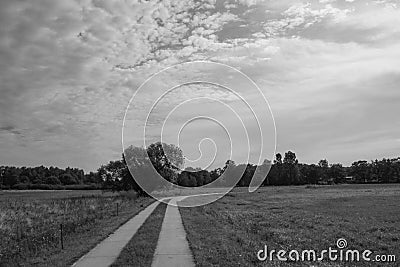 Path over a meadow Stock Photo