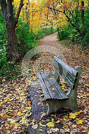 Path And Park Bench Stock Photo