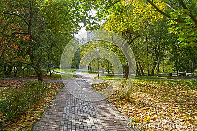 A path in the park. Early October Stock Photo