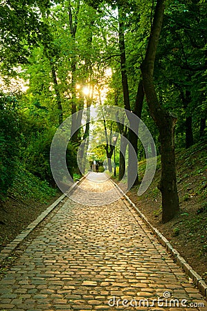 Path in park, Vysehrad, Prague, Stock Photo