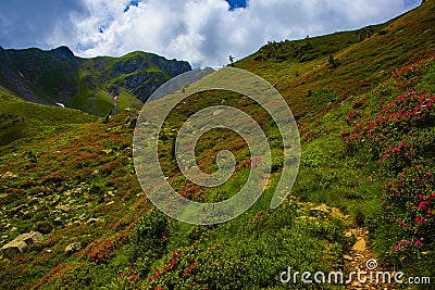 Path between the peaks of the Lagorai six Stock Photo