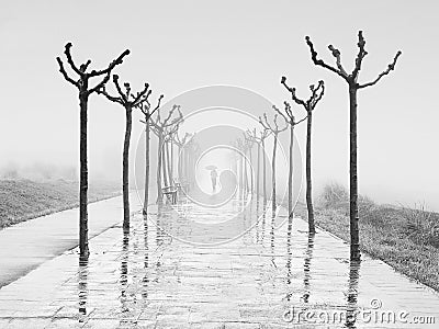 Path with person walking with umbrella on rainy day at winter Stock Photo