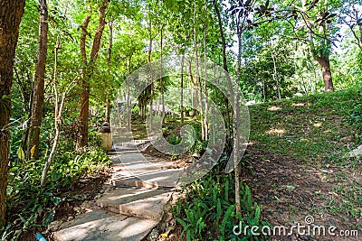 Path in the shady green garden Stock Photo