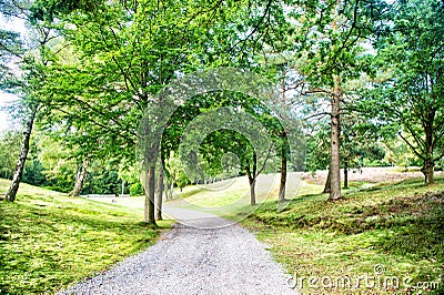 Path in spring or summer forest, nature. Road in wood landscape, environment. Footpath among green trees, ecology. Nature, environ Stock Photo