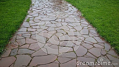 a path of stones and green gras. Stock Photo