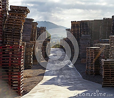 Path through storage area with pallets stacks and nature landscape Stock Photo