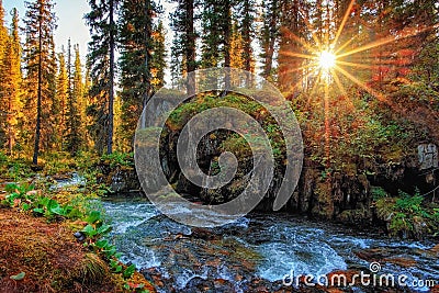 A path through the taiga to Lake Svetloye in Ergaki Stock Photo