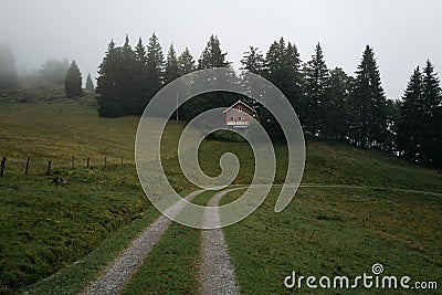 Path taking to House in the countryside between trees in a cloudy day in Switzerland Stock Photo