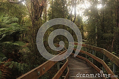 Pupu Springs New Zealand Stock Photo