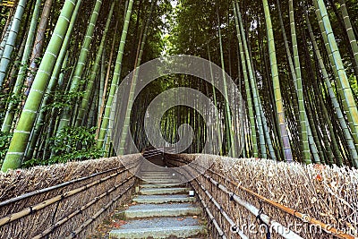 Path to bamboo forest, Arashiyama, Stock Photo