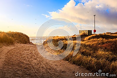 Path to the beach at Blavandshuk Fyr Stock Photo