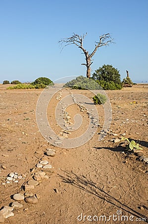 Path to the Beach, with dead tree Stock Photo