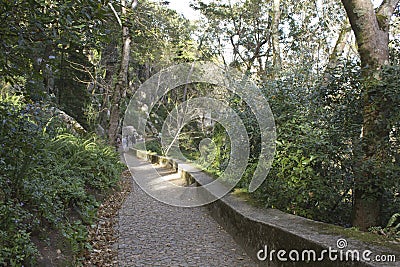 The path to go to Moors Castle in Sintra Editorial Stock Photo