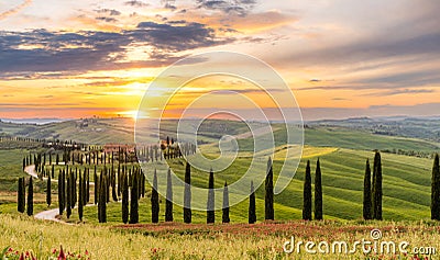 Path to hill house through cypress trees and sunrise view of stunning rural landscape of Tuscany, Italy Stock Photo