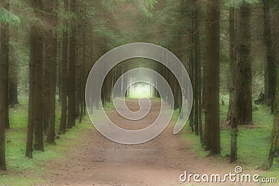 A path to the light. Stock Photo