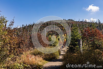 Path to the summit of Luzny, beautiful autumn sunny day. Lusen mountain Bayerischer Wald nationalpark. Mountain Lusen in the bavar Stock Photo