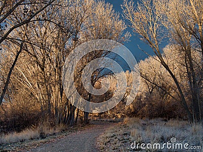 Path Toward the Storm Stock Photo