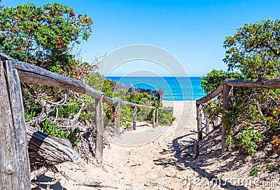 path towards the sea through the beach Stock Photo