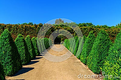 Path and trimmed trees in Alowyn garden Editorial Stock Photo