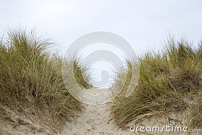 Path trough the dunes, Renesse, the Netherlands Stock Photo