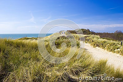 Path trough the dunes, Zoutelande, the Netherlands Stock Photo