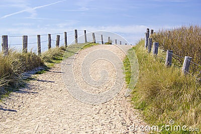 Path trough the dunes, Zoutelande Stock Photo