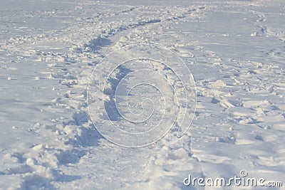 The path on the tundra in the snow Stock Photo