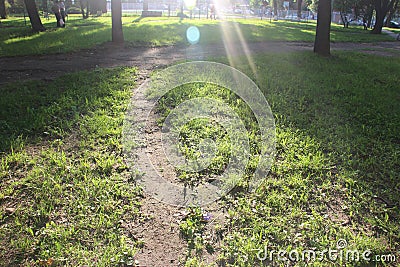 A path under sun rays in an open green field. Way concept Stock Photo