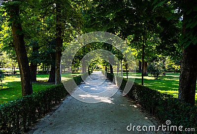 Path walk of a park with green vegetation and trees Stock Photo